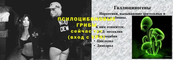 прущая мука Горняк