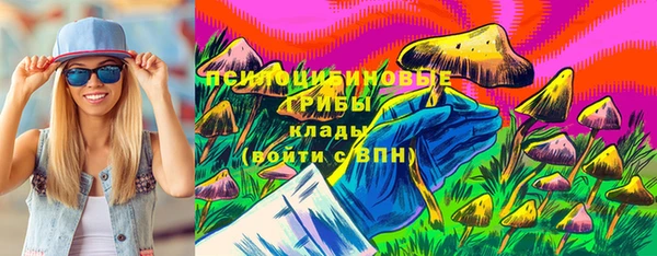 мдпв Горнозаводск