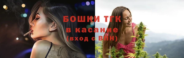 мдпв Горнозаводск