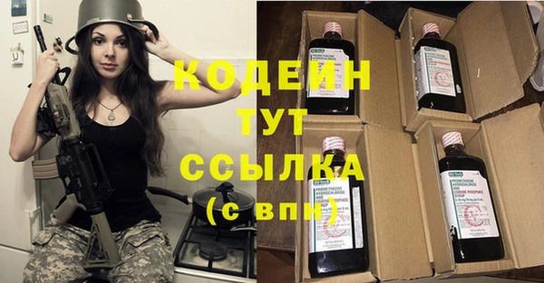 мдпв Горнозаводск