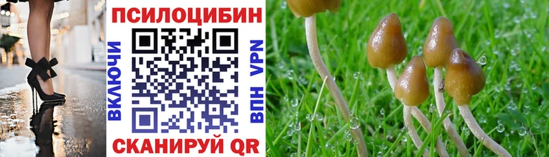 Купить  Удомля  Псилоцибиновые грибы Magic Shrooms 